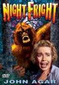 Movies Night Fright poster