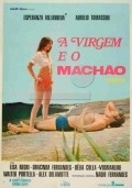 Movies A Virgem e o Machao poster