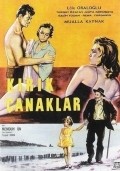 Movies Kirik canaklar poster