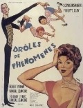 Movies Droles de phenomenes poster