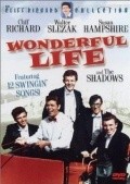 Movies Wonderful Life poster