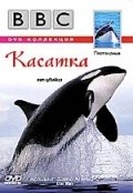 Movies Killer Whale poster