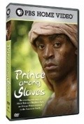 Movies Prince Among Slaves poster