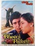 Movies Bheegi Palkein poster