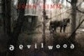 Movies Devilwood poster