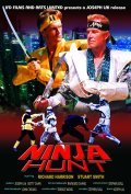 Movies Ninja Hunt poster