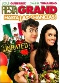Movies The Fiesta Grand poster