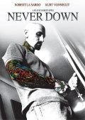 Movies Never Down poster