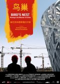 Movies Bird's Nest - Herzog & De Meuron in China poster