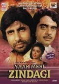 Movies Yaar Meri Zindagi poster
