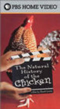 Movies The Natural History of the Chicken poster
