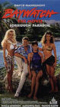 Movies Baywatch: Forbidden Paradise poster