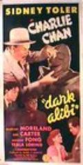 Movies Dark Alibi poster