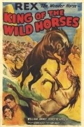 Movies King of the Wild Horses poster