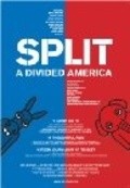 Movies Split: A Divided America poster