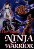 Movies Ninja Warriors poster