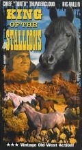 Movies King of the Stallions poster