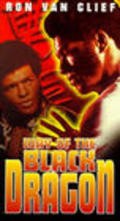 Movies Way of the Black Dragon poster