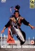 Movies Incredible Shaolin Thunderkick poster