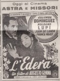 Movies L'edera poster