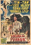 Movies Locura de terror poster