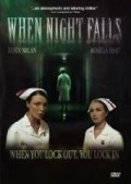 Movies When Night Falls poster