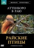 Movies Attenborough in Paradise poster