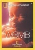 Movies Life Before Birth poster
