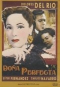 Movies Dona Perfecta poster