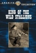 Movies King of the Wild Stallions poster