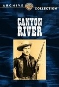 Movies Canyon River poster