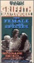 Movies The Female of the Species poster
