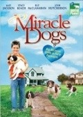 Movies Miracle Dogs poster