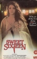 Movies Sweet 16 poster