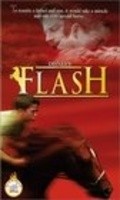 Movies Flash poster