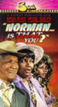 Movies Norman... Is That You? poster
