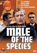 Movies Male of the Species poster