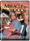 Movies Miracle in the Woods poster