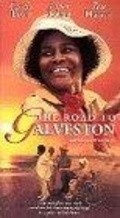 Movies The Road to Galveston poster