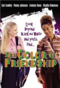 Movies The Color of Friendship poster