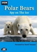 Movies Polar Bears: Spy on the Ice poster