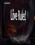 Movies Love Rules! poster