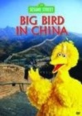 Movies Big Bird in China poster