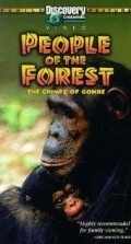 Movies People of the Forest: The Chimps of Gombe poster