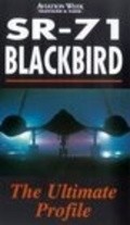 Movies SR-71 Blackbird: The Secret Vigil poster