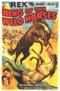 Movies The King of the Wild Horses poster