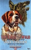 Movies Call of the Wild poster
