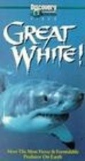 Movies Great White poster