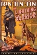 Movies The Lightning Warrior poster