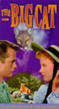 Movies The Big Cat poster